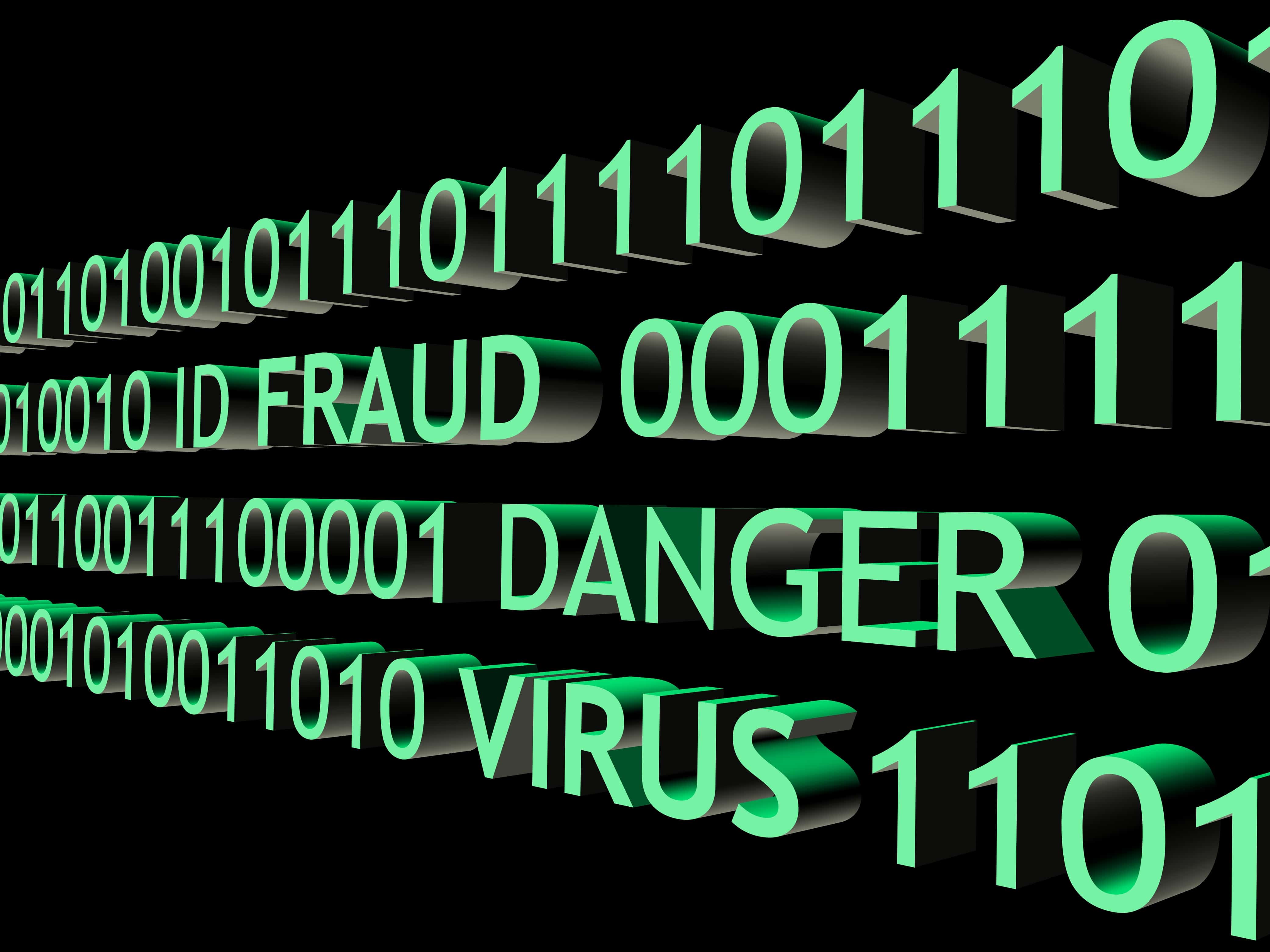 What is Cyber Fraud?